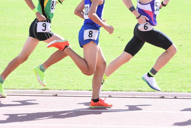 スプリントトレーニング8週間で筋肉の構造が大変化