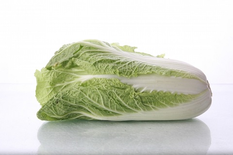 白菜の保存をひと工夫するとビタミンKが増える