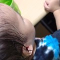 褐色脂肪細胞はエネルギーを消費する