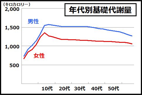 基礎代謝量を上げる秘密はインナーマッスル腹筋