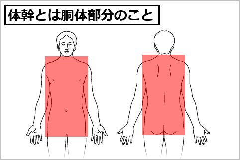 道具を使わずにできる体幹トレーニングメニュー