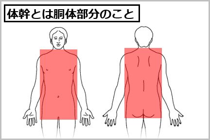コアトレーニングと体幹トレーニングの違い