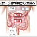 腸マッサージでぽっこりお腹が痩せる