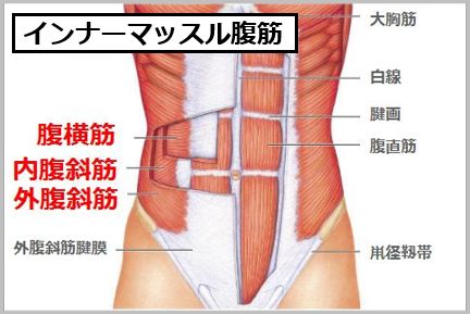 たった1分で効くインナーマッスル腹筋の鍛え方