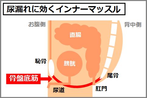 体幹トレーニング効果で得られる5つのメリット