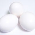 糖質制限ダイエットのやり方はもどきご飯が簡単