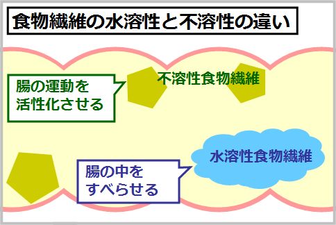 もち麦ダイエットの効果の秘密は水溶性食物繊維