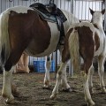 大殿筋を筋トレするならヒップリフトが効果的