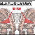 梨状筋はお尻の奥にある筋肉