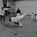 丹田は日本の武道でも体の要所とされてきていた