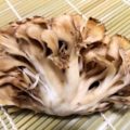 内臓脂肪を減らす「まいたけダイエット」の効能