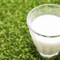 尿酸値を下げる食べ物は1日1杯の牛乳だった