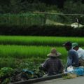 老化の原因「瘀血」の改善は耳と足のマッサージ