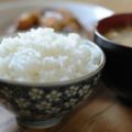 炭水化物を食べないダイエットは肥満体の人向け