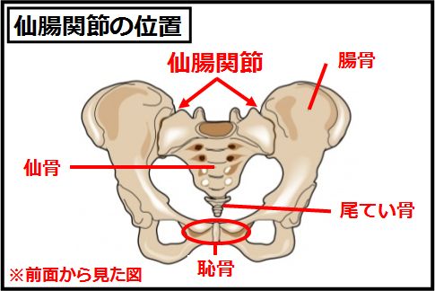 仙腸関節ストレッチで腰痛治療するaka 博田法 Starthome