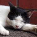 眠れない時の対処法は「一度布団を出る」が正解