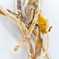 するめのカロリーは一切れ6.6kcalで間食に最適