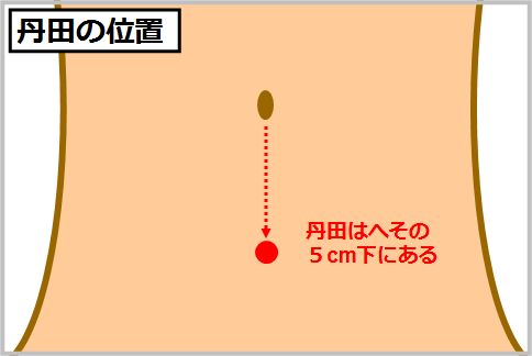 丹田の位置