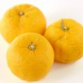 DHEAを増やして疲労を回復「塩ゆず」の作り方